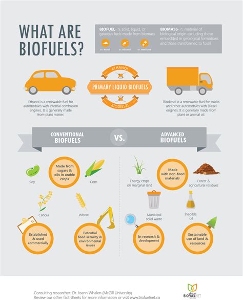 What are Biofuels? | Infographic, Biomass energy, Biofuel