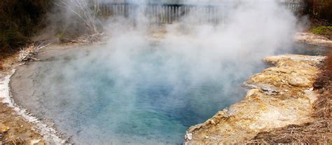 Rotorua Hot Springs And Geothermal Experiences | Rotorua Canopy Tours