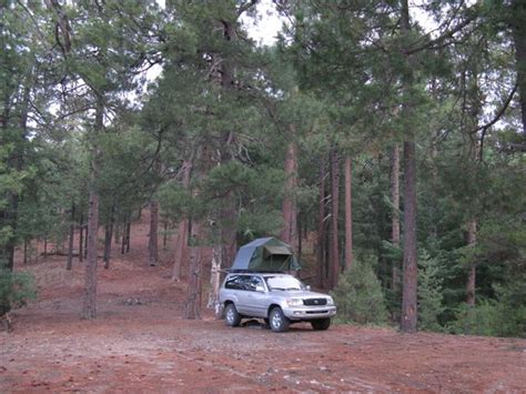 Mt Lemmon camping sites? | IH8MUD Forum