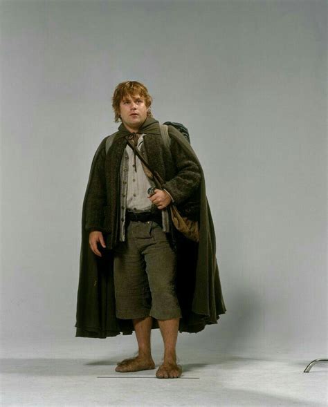 8 best Sam gamgee costume ideas images on Pinterest | Costume ideas, Hobbit cosplay and Cosplay ...