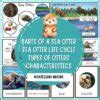 Parts of a Sea Otter Life Cycle Facts Pack - Montessori Nature Printables