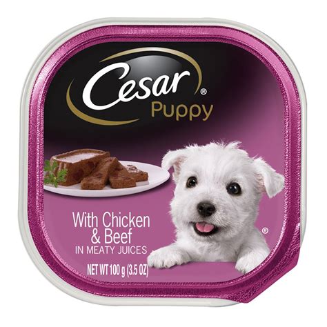 The Ultimate Guide to the Best Cesar Puppy Dog Food: Top 10 Products Reviewed and Buying Guide ...