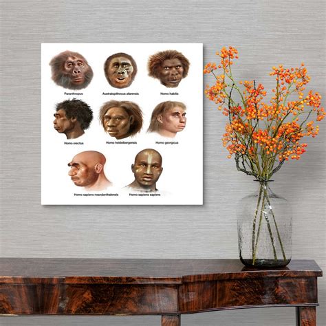 Human Evolution, Artwork Wall Art, Canvas Prints, Framed Prints, Wall ...