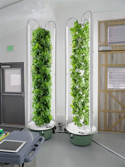 Indoor Vertical Farm | Indoor Aeroponics | 5 Points Farm