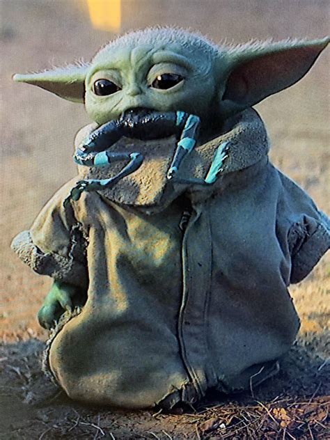 Baby Yoda likes frogs | /r/BabyYoda | Baby Yoda | Know Your Meme