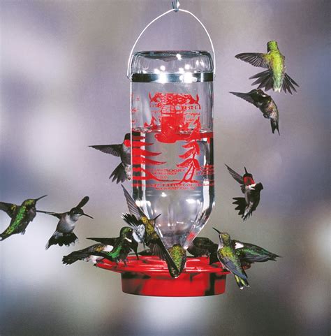 Sphere Hummingbird Feeder - YardBirds