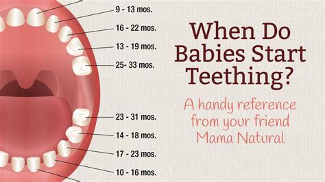 When Do Babies Start Teething? And other baby teething Answers