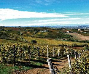 Monferrato, Piedmont [Piemonte] - Italy Wine Region | Wine-Searcher