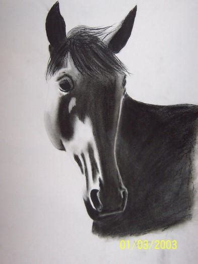 Horse Head -Charcoal- by the-princess on DeviantArt