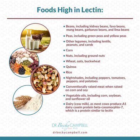 Lectins, Thyroid Problems And Autoimmune Disease|Dr , 55% OFF