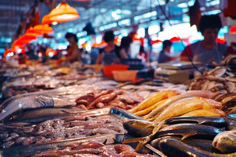 Pilihan Pasar Ikan Terdekat dan Terbaik di Jakarta