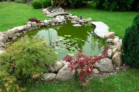 Efficiency Meets Innovation: Why Self-Cleaning Pond Filters Are an ...