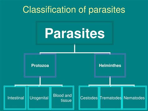 Parasite Classification Chart