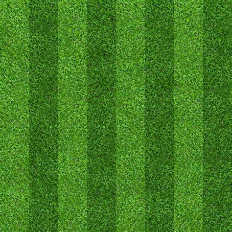 Premium Photo | Green grass field pattern background for soccer and ...