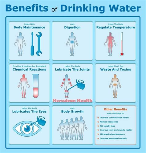 Welcome to The Paleo Network! | Drinking water, Benefits of drinking water, Why drink water