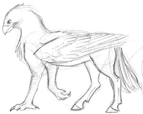 Buckbeak Sketch by gryphonworks on DeviantArt