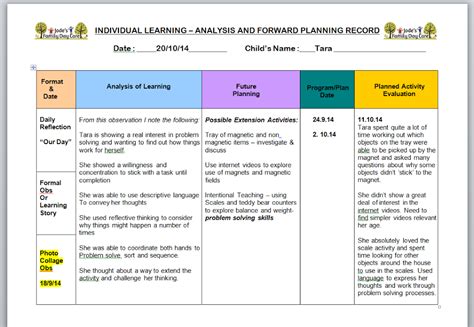 Analysis, Reflection and Evaluation in Early Childhood Programming. - The Empowered Educator ...