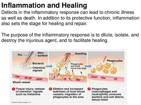 How To Treat Different Types Of Skin Inflammation | Heidi Salon