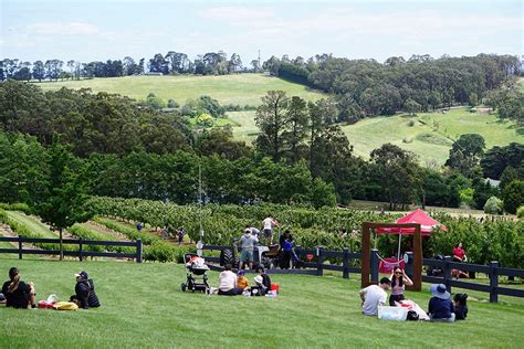 Cherryhill Orchards Cherry Picking Melbourne | TOT: HOT OR NOT