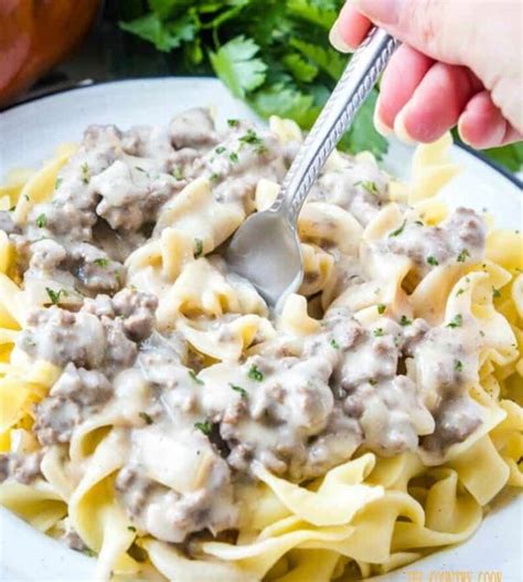 Freeze Dried Ground Beef Stroganoff. Healthy Meals for Camping, Hiking, Snacks or an Emergency ...