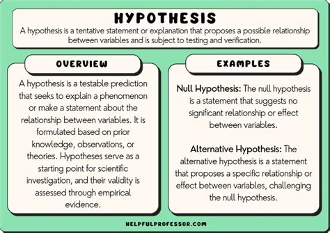 15 Hypothesis Examples (2024)