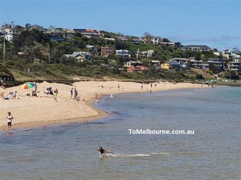 Frankston Beach and foreshore - ToMelbourne.com.au