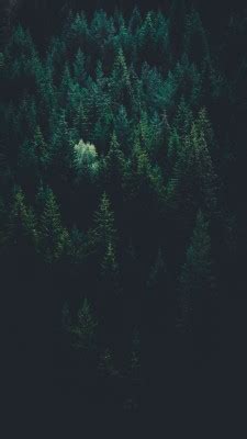 25 ++ midnight green wallpaper iphone 11 pro 121277-Iphone 11 pro midnight green wallpaper 4k ...