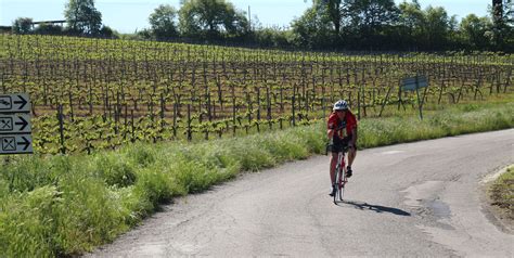 Florence bike tour | Firenze, Fiesole & Monte Senario Monastery by bike