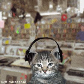 Cat With Headphones Gif