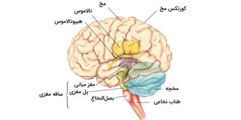 کودکان استثنایی