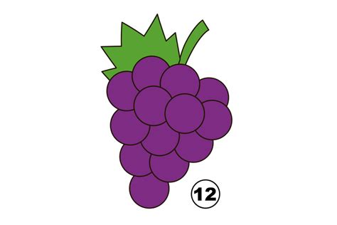 Update 80+ sketch of grapes fruit best - seven.edu.vn