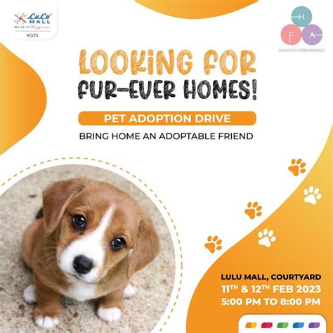 Pet Adoption Drive at LuLu Mall Kochi | Events in kerala | mallsmarket.com