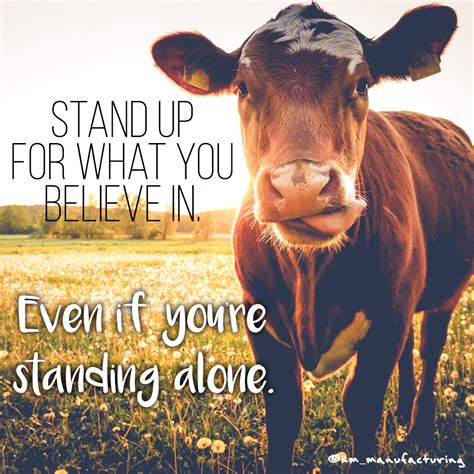 Always stand up for what you believe in. #inspiration #farmlife # ...