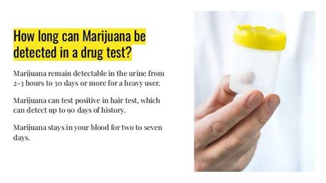 Marijuana Drug Test - InOut Labs