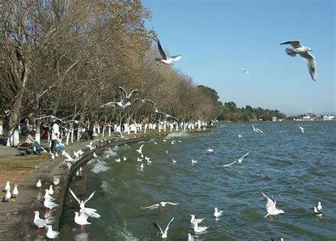 Dianchi Lake Kunming, Dianchi Lake and Hai Geng Park