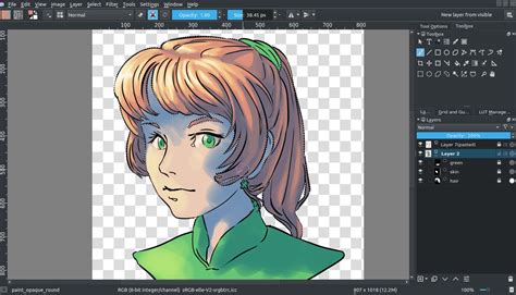 Flat Coloring — Krita Manual 5.2.0 documentation