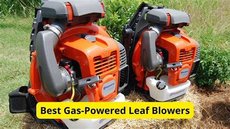 8 Best Gas-Powered Leaf Blowers of 2024