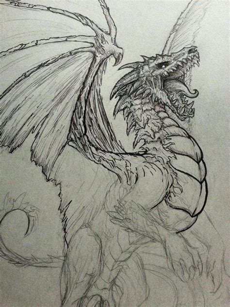 Dragon Body Drawing