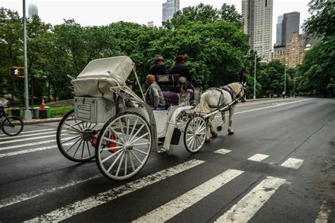 Central Park Horse-drawn Carriage Editorial Stock Photo - Image of ...