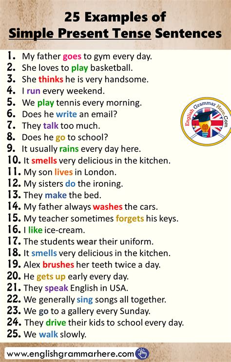 25 Examples of Simple Present Tense Sentences | Simple present tense, English vocabulary words ...