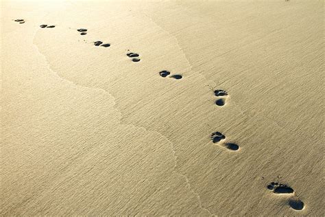 Footprints In The Sand Wallpaper