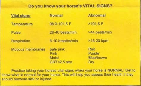 Horse Vital Signs Chart