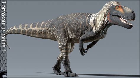 Torvosaurus Skeleton