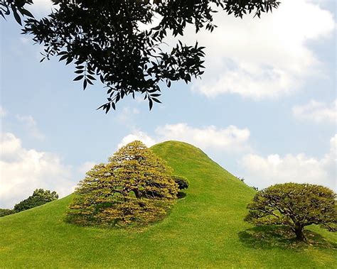 THE 15 BEST Things to Do in Kumamoto - 2024 (with Photos) - Tripadvisor