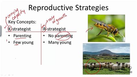 15.1.3 What are the reproductive strategies - YouTube