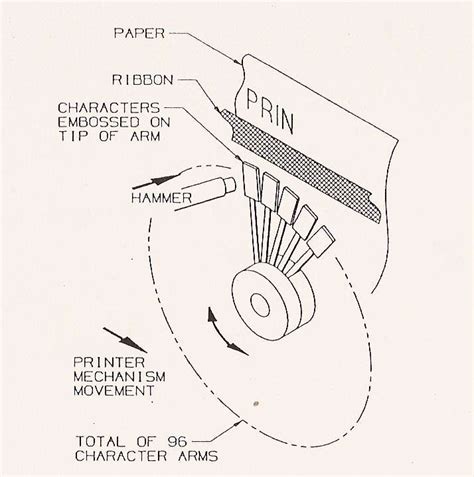 Computer Sc IT & Management: Daisy Wheel Printer