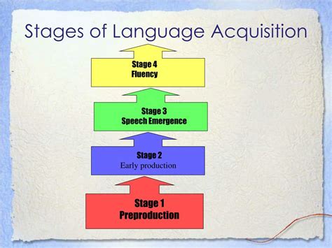 Four Stages Of Language Acquisition