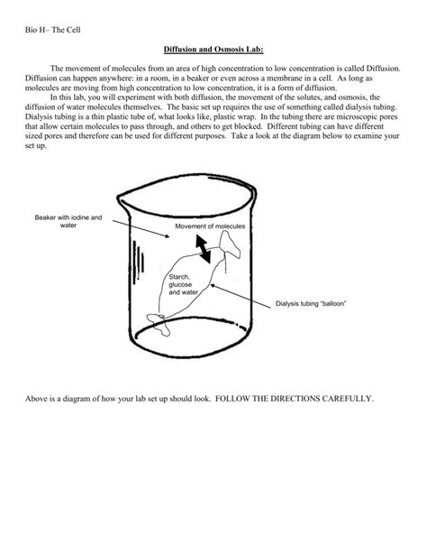 Diffusion and Osmosis Lab: