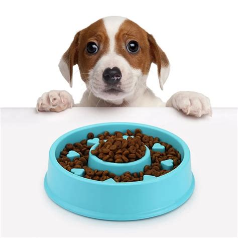 FameBeaut Strange New Anti Choking Dog Bowl Jungle Bowl Healthy Food Bowl Pet Bowl To Prevent ...