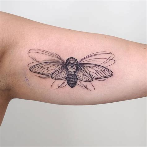 22 Cryptic Cicada Tattoo Designs and Where to Ink Them | Cicada tattoo, Insect tattoo, Tattoos